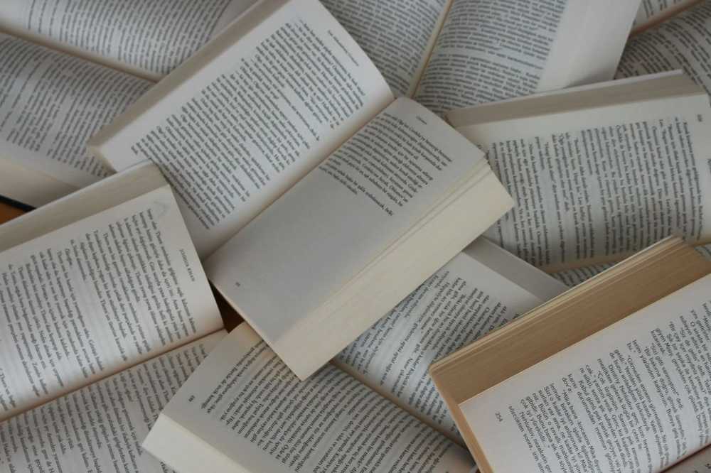 AI Can Write Novels. But Can It Mean Them? AI時代に問い直される「小説」と「著者」の意味
